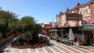 GC-CC Jardin del Sol (Pl Ingles) 2026-16.jpg